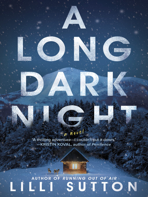 Cover image for A Long Dark Night